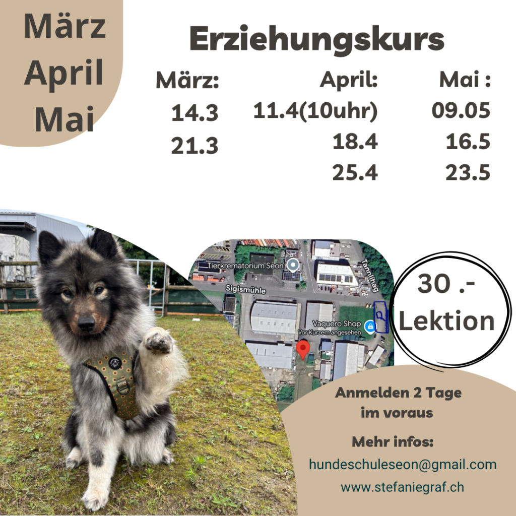 Meinen-Hund-verstehen