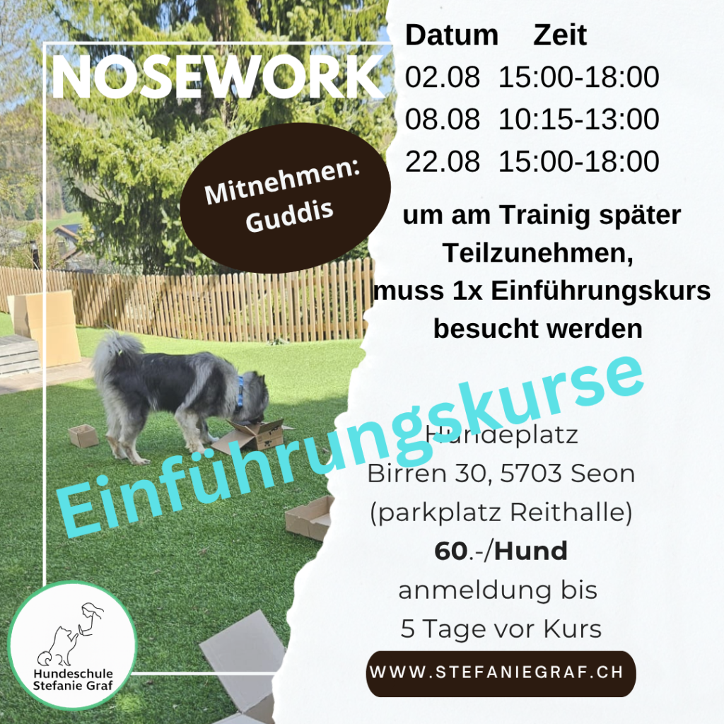 Nosework-Einfuehrung-kurs